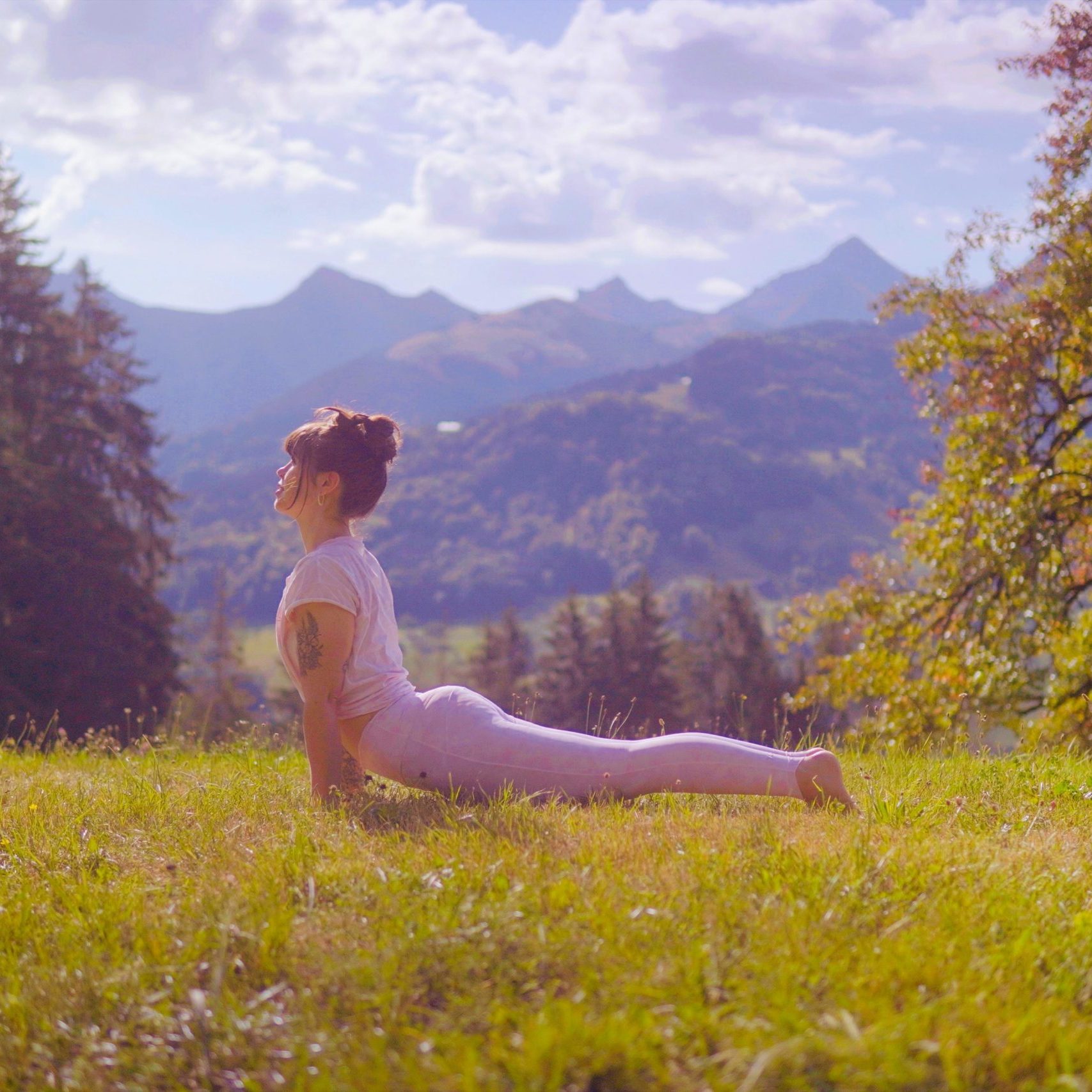 Alice urdhva mukha paysage