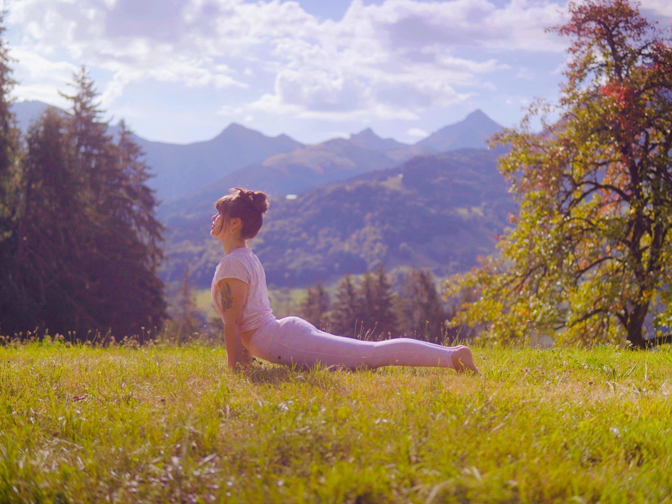 Alice urdhva mukha paysage